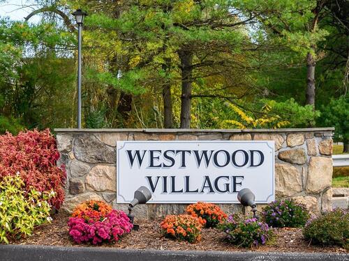  condo home for sale located at 55 Mill Plain Road, 32-17, Danbury, CT 06811