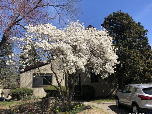  townhouse condo for sale located at 511 Opa Lane, b, Stratford, CT 06614