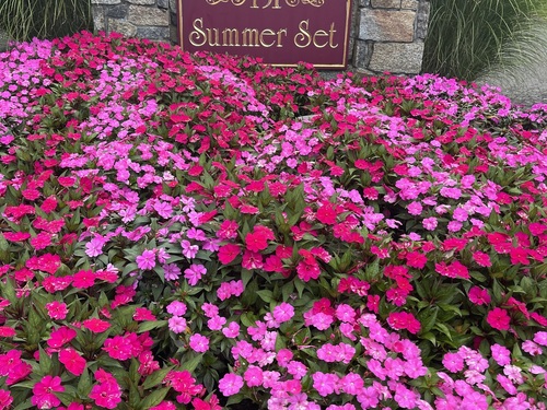  townhouse condo for sale located at 151 Shelter Rock Road, 60, Danbury, CT 06810