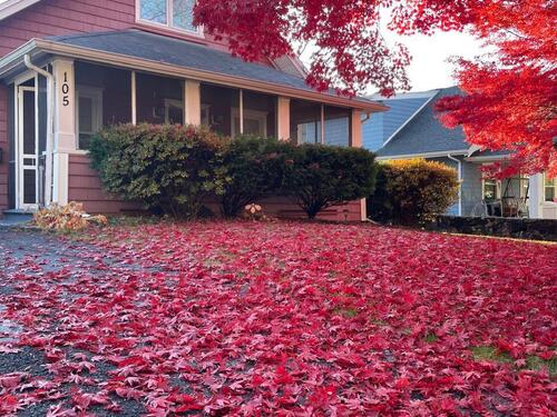  single family home for sale located at 105 Knickerbocker Avenue, Stamford, CT 06907