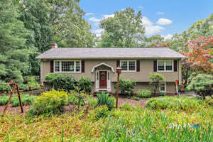 35 Nutmeg Lane, Shelton, CT 06484 | For Sale at $589,900