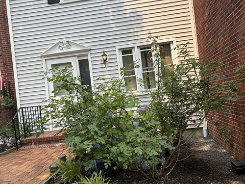  townhouse condo for sale located at 3991 Park Avenue, Fairfield, CT 06824