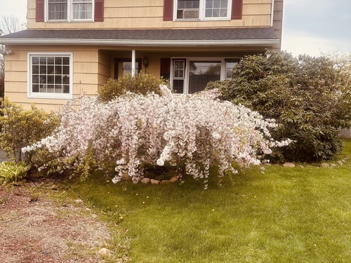  single family home for sale located at 483 Reitter Street West, Stratford, CT 06614